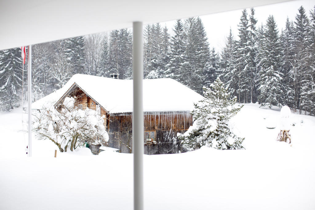 Chalet Bergoase Hasliberg Exterior photo